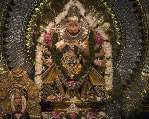 Information about Shri Narasimha Jayanti Festival.Narasimha Swamy Jayanti Date Narasimha Swamy Jayanthi Celebrations and more